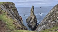 Hillswick Ness &ndash; &copy; Sinah Witzig (Eberhardt TRAVEL)