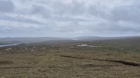Hermaness Nature Reserve &ndash; &copy; Sinah Witzig (Eberhardt TRAVEL)