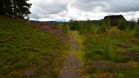 253 Highland Folk Museum