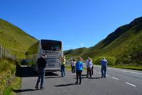 256 Mittelwales, in den Cambrian Mountains