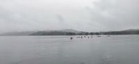 260 Lake District, Schifffahrt auf dem Lake Windermere