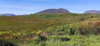 262 Highlands, Stob Ghabhar 1087m