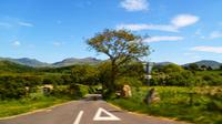 262 Nordwales, Fahrt durch den Snowdon Nationalpark