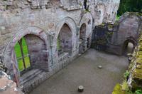 265 Dryburgh Abbey