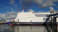 266 Pride of Rotterdam