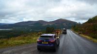 269 Cairngorm Mountains - Rentiere