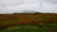 270 Highlands