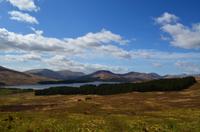 272 Highlands