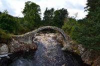 280 Carrbridge