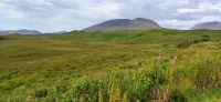 289 Highlands, Ausblick oberhalb Loch Tulla