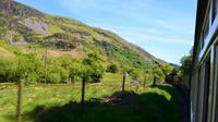 293 Nordwales, Fahrt mit der Welsh Highland Railway