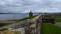 295 Fort George