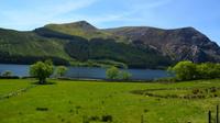 302 Nordwales, Fahrt mit der Welsh Highland Railway, Llyn Cwellyn