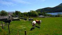 303 Nordwales, Fahrt mit der Welsh Highland Railway