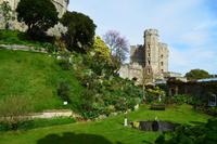 Windsor Castle
