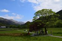 Beddgelert