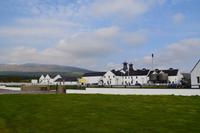 Darwinny Destillerie