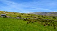 309 Nordwales, Fahrt mit der Welsh Highland Railway, Snowdon Mountain 1083 m