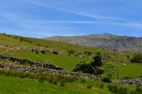 310 Nordwales, Fahrt mit der Welsh Highland Railway, Snowdon Mountain 1083 m