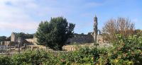 311 Fife, St. Andrews, Ruinen der Kathedrale