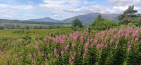 311 Highlands, Aussicht beim Commando Memorial