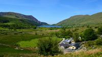 315 Nordwales, Fahrt mit der Welsh Highland Railway, Llyn Cwellyn