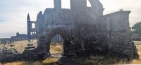 317 Fife, St. Andrews, Ruinen der Kathedrale