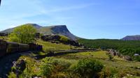 319 Nordwales, Fahrt mit der Welsh Highland Railway