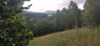320 Highlands, Blair Castle