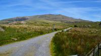 321 Nordwales, Fahrt mit der Welsh Highland Railway, Snowdon Mountain 1083 m
