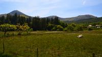 333 Nordwales, Fahrt mit der Welsh Highland Railway nach Beddgelert