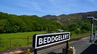 336 Nordwales, Fahrt mit der Welsh Highland Railway