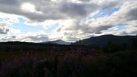 341 Commando Memorial
