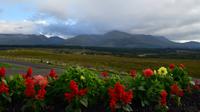 342 Commando Memorial