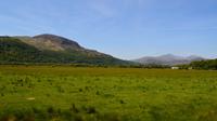 343 Nordwales, Fahrt mit der Welsh Highland Railway nach Porthmadoc