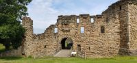 344 St. Andrews, Castle Ruine
