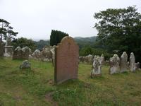 Tag 4 - 2 Isle of Wight - Godshill (5)