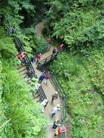 Tag 4 - 3 Isle of Wight - Shanklin Chine (2)