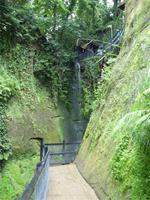Tag 4 - 3 Isle of Wight - Shanklin Chine (4)