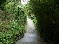 Tag 4 - 3 Isle of Wight - Shanklin Chine (5)