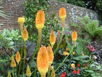 Tag 3 - 1 Arundel Castle (13)