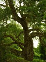 Tag 3 - 1 Arundel Castle (16)