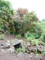 Tag 5 - 4 Killerton House and Gardens (12)