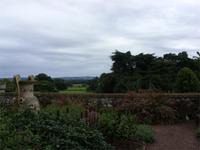 Tag 5 - 4 Killerton House and Gardens (4)