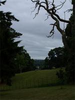 Tag 5 - 4 Killerton House and Gardens