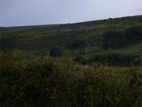 Tag 6 - 1 Dartmoor (4)