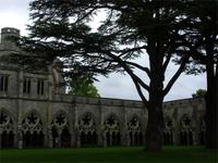 Tag 5 - 2 Kathedrale von Salisbury (2)