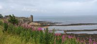 347 St. Andrews, Strand und Castle Ruine