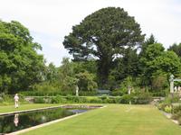 Bodnand Garden