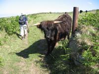 Pembrokshire Coast NP